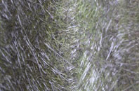 West Pennard fibreglass roof work